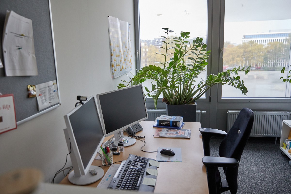 Ein IQWiG Büro mit Schreibtisch und einer Stehpflanze am Fenster