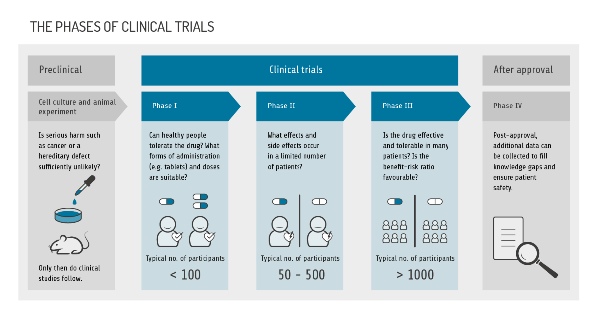 infographic: the phases of clinical trials