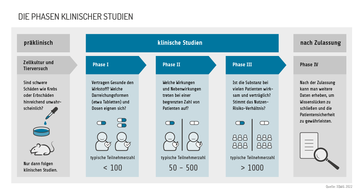 Infografik: Die Phasen klinischer Studien. Klinische Studien haben drei Phasen. Davor gibt es ein präklinisches Stadium, in dem ein Wirkstoff in Zellkulturen und im Tierversuch untersucht wird: Sind schwere Schäden wie Krebs oder Erbgutschäden hinreichend unwahrscheinlich? Nur dann folgen klinische Studien. In Phase-eins-Studien geht es darum, ob Gesunde den Wirkstoff vertragen, und welche Darreichungsformen (etwa Tabletten) und Dosen geeignet sind. An Phase-eins-Studien nehmen typischerweise unter 100 Menschen teil. In Phase-zwei-Studien wird geklärt, welche Wirkungen und Nebenwirkungen bei einer begrenzten Zahl von Patientinnen und Patienten auftreten. Typisch sind 50 bis 500 Personen. In Phase-drei-Studien stellt man fest, ob die Substanz bei vielen Patientinnen und Patienten wirksam und verträglich ist. Stimmt das Nutzen-Risiko-Verhältnis? Das wird typischerweise an über 1000 Personen ermittelt. An die Zulassung, die auf klinischen Studien basiert, kann sich eine Phase vier anschließen. In ihr erhebt man weitere Daten, um Wissenslücken zu schließen und die Patientensicherheit zu gewährleisten.