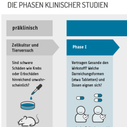 Infografik: Die Phasen klinischer Studien. Klinische Studien haben drei Phasen. Davor gibt es ein präklinisches Stadium, in dem ein Wirkstoff in Zellkulturen und im Tierversuch untersucht wird: Sind schwere Schäden wie Krebs oder Erbgutschäden hinreichend unwahrscheinlich? Nur dann folgen klinische Studien. In Phase-eins-Studien geht es darum, ob Gesunde den Wirkstoff vertragen, und welche Darreichungsformen (etwa Tabletten) und Dosen geeignet sind. An Phase-eins-Studien nehmen typischerweise unter 100 Menschen teil. In Phase-zwei-Studien wird geklärt, welche Wirkungen und Nebenwirkungen bei einer begrenzten Zahl von Patientinnen und Patienten auftreten. Typisch sind 50 bis 500 Personen. In Phase-drei-Studien stellt man fest, ob die Substanz bei vielen Patientinnen und Patienten wirksam und verträglich ist. Stimmt das Nutzen-Risiko-Verhältnis? Das wird typischerweise an über 1000 Personen ermittelt. An die Zulassung, die auf klinischen Studien basiert, kann sich eine Phase vier anschließen. In ihr erhebt man weitere Daten, um Wissenslücken zu schließen und die Patientensicherheit zu gewährleisten.