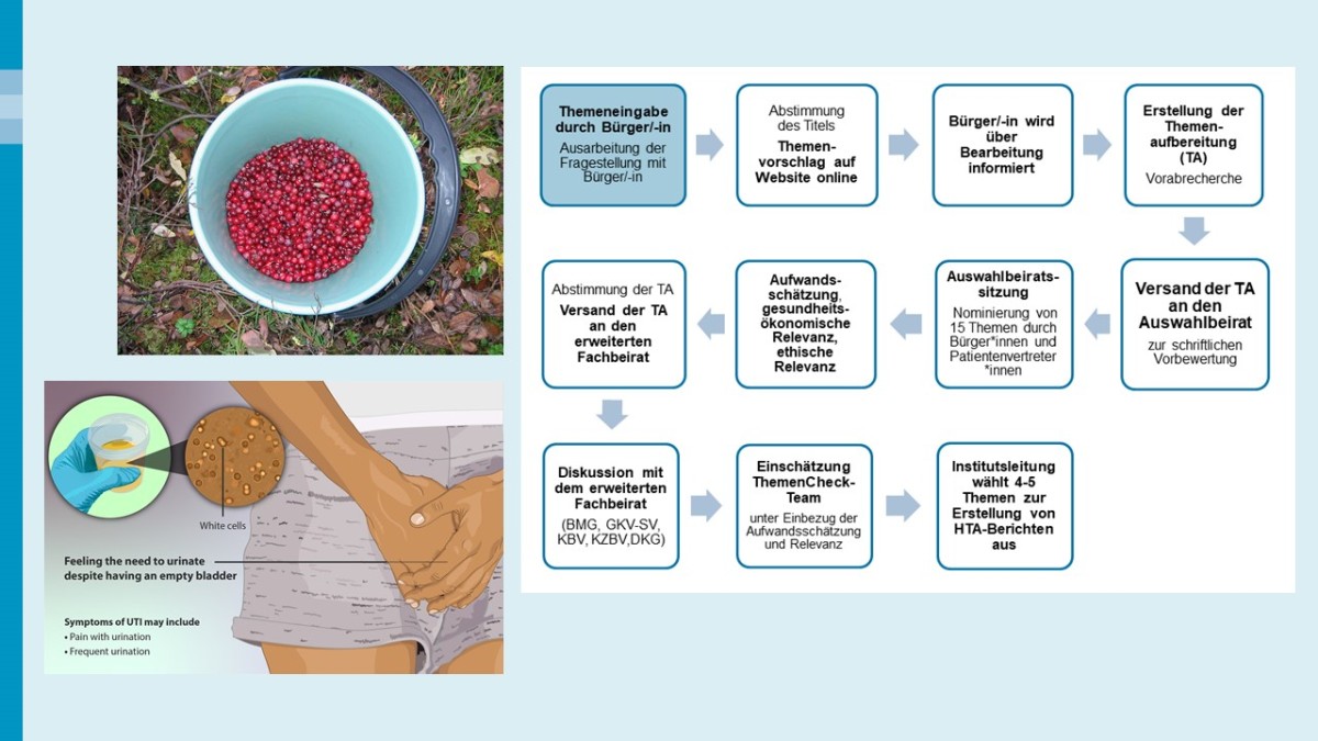 Links oben: ein Eimer mit frisch gesammelten, roten Cranberries auf einem moosigen Waldboden, von oben fotografiert. Links unten: Illustration mit einer Person in Shorts, die sich die Hände vor die schmerzende Blase hält, und einem Urinbecher, in dem vergrößert weiße Zellen zu sehen sind. Rechts: Ablaufdiagramm mit 11 Stationen, von der Themeneingabe durch einen Bürger oder eine Bürgerin bis zur Auswahl von 4-5 Themen durch die Institutsleitung.