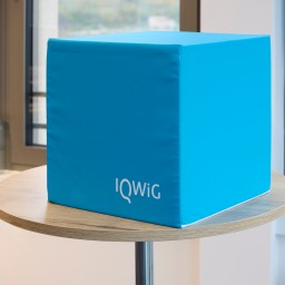 IQWiG-Schriftzug