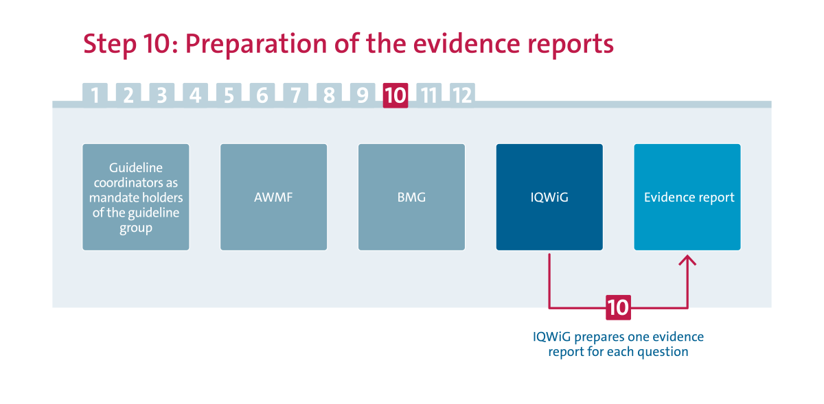 evidence reports Step 10 Preparation of the evidence reports
