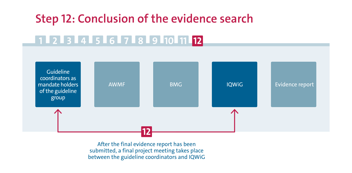 evidence reports Step 12 Conclusion of the evidence search