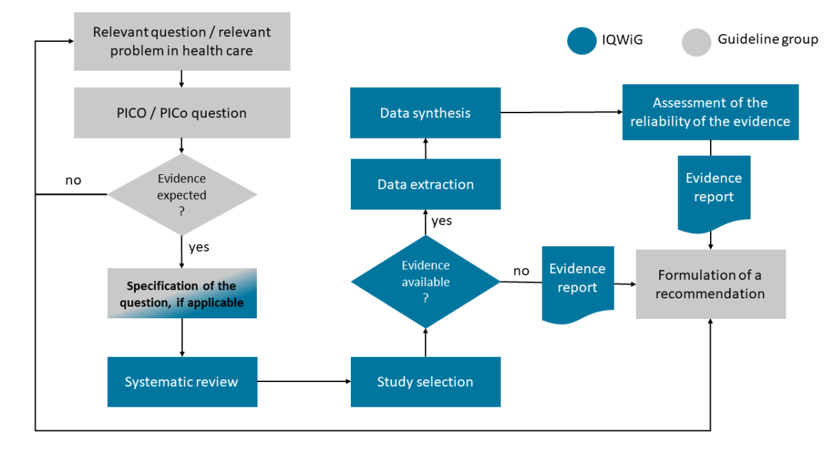 Process overview: Preparation of the evidence report