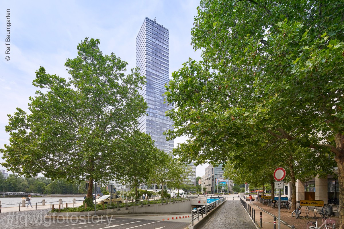 An entrance to an underground car park leads downwards between trees. In the background is a skyscraper with a glass facade.